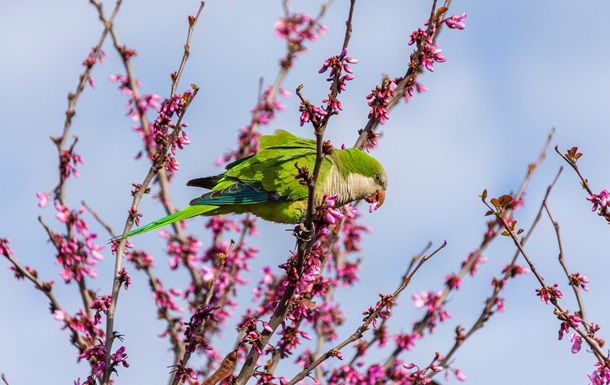 Гороскоп для всех знаков зодиака на выходные 7-8 июня 2025 года