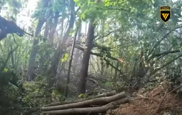 Знищено росіян, які намагалися штурмувати Сумщину