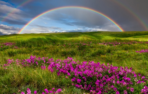 Україну накриє спека до +37, подекуди грози