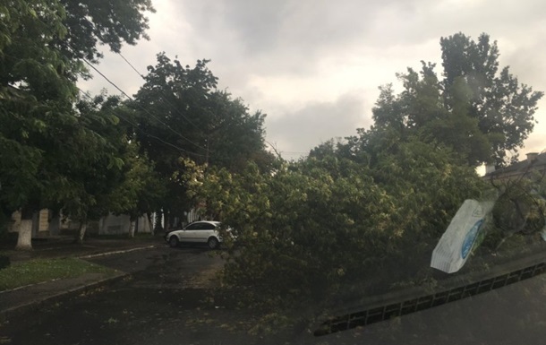 На Прикарпатті через негоду впали дерева, без світла низка сіл