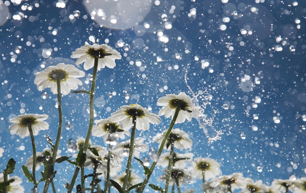 Большую часть Украины накроют дожди