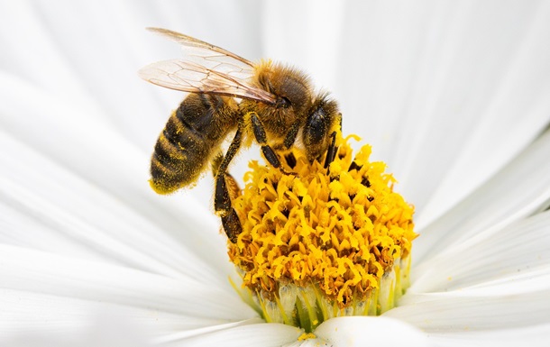 Гороскоп для всіх знаків зодіаку на 13 червня 2025 року