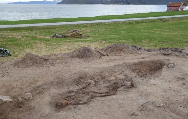 В Норвегии обнаружили 1000-летнее захоронение женщины-викинга с её собакой