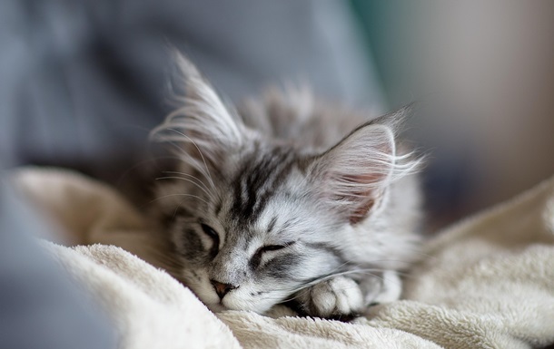 Гороскоп для всіх знаків зодіаку на вихідні 14-15 червня 2025 року