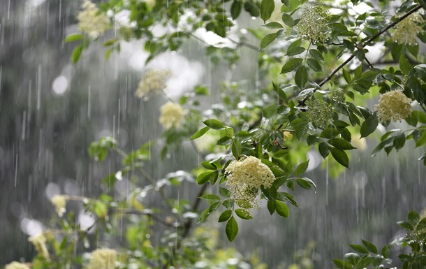Короткочасні дощі охоплять більшість регіонів на вихідні