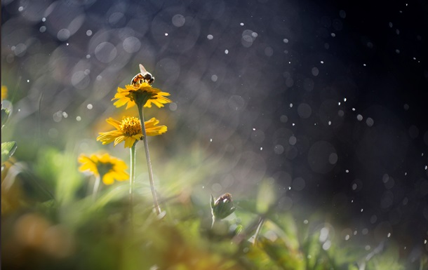 Тепло, местами дожди с грозами: прогноз погоды на начало недели