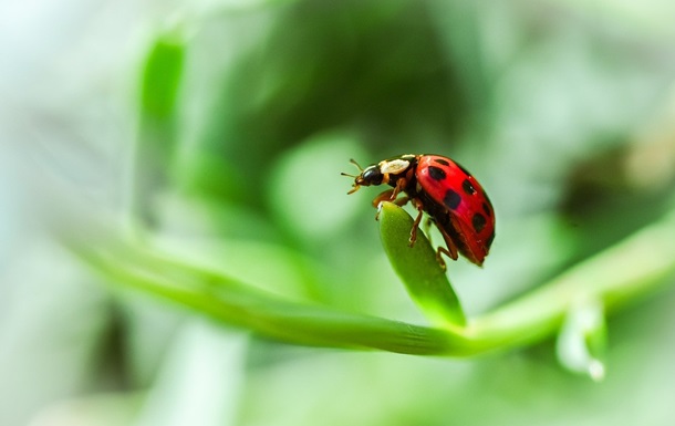 Гороскоп для всех знаков зодиака на 25 июня 2025 года