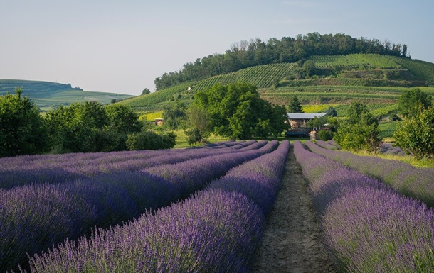 Гороскоп для всех знаков зодиака на 27 июня 2025 года