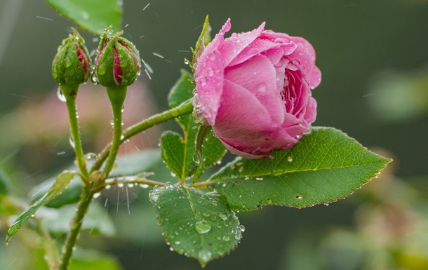 Лето набирает обороты: Украину ждет теплая пятница