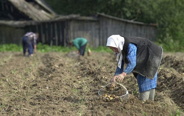 Лукашенко допрацювався до картопляної кризи у Білорусі - ЗМІ