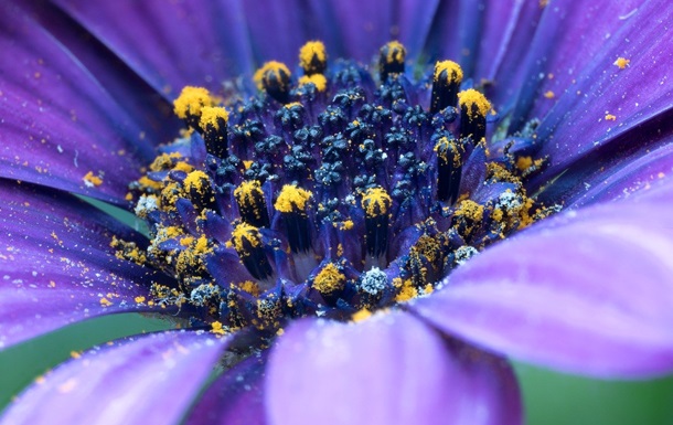 Гороскоп для всіх знаків зодіаку на вихідні 28-29 червня 2025 року