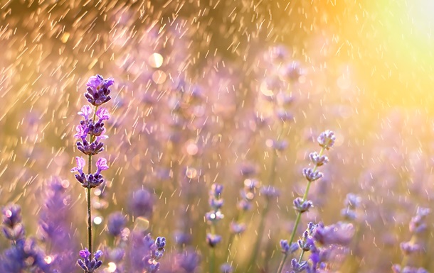 В Україну повернуться грози: прогноз погоди на вихідні