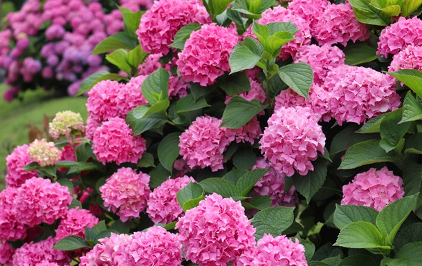 В Украине сохранится преимущественно прохладная погода