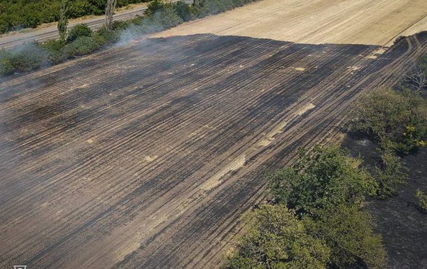 На Миколаївщині вигоріло 50 га пшениці