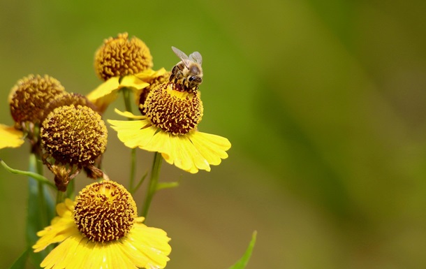 Гороскоп для всех знаков зодиака на 3 июля 2025 года