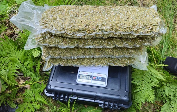 Правоохоронці знешкодили наркокартель із Кривого Рогу