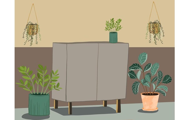 Зелений оазис у розпалі літа: як кімнатні рослини рятують від спеки та стресу