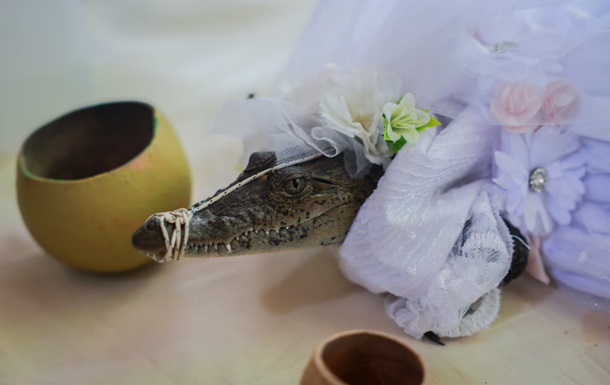 У Мексиці мер одружився з кайманом