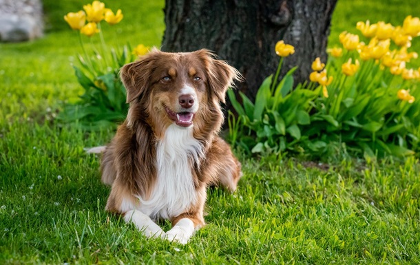 Гороскоп для всіх знаків зодіаку на 10 липня 2025 року