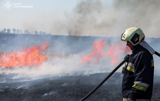 На Полтавщині пожежа знищила поле зернових