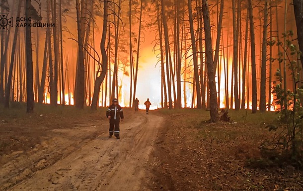 На Харківщині вирують масштабні лісові пожежі