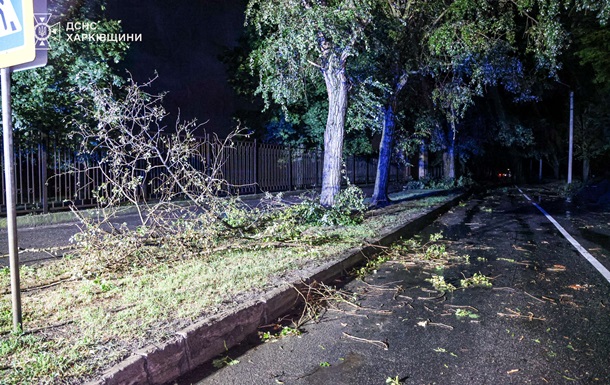 Розгул стихії: ДСНС Харківщини показала наслідки