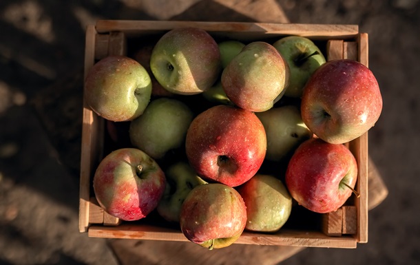 В Украине спрогнозировали дальнейший рост цен на яблоки