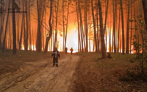 Рятувальники ліквідували понад дві сотні пожеж з початку доби