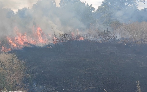 В Одесской области вспыхнул сухостой на площади 18 000 кв. м