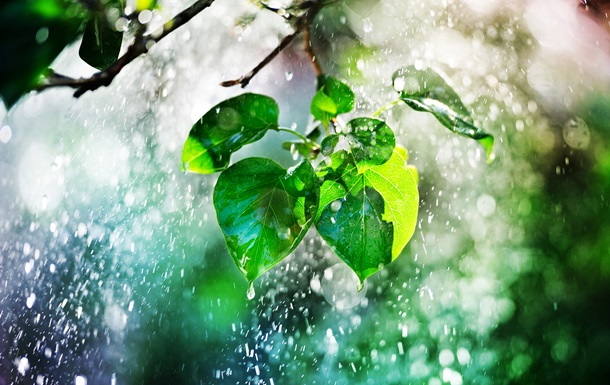 В Украине будут чередоваться грозы с жарой до +37°