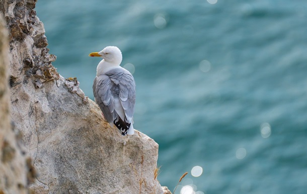 Гороскоп для всіх знаків зодіаку на 23 липня 2025 року