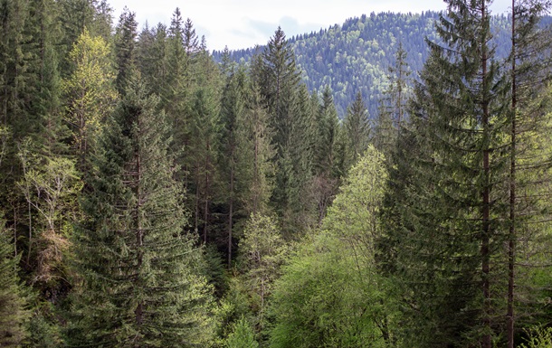 Екопрокуратура скасувала незаконну передачу землі у Мигово