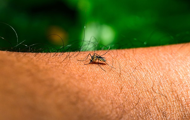 Насувається пандемія? В Європі  гуляє  новий вірус