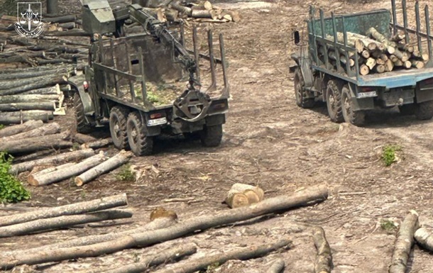 Повідомлено про підозри 13 працівникам Ліси України та ЛІАЦ  