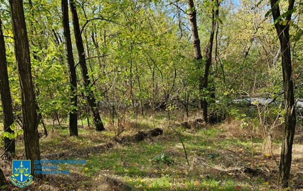 Незаконна вирубка лісу на Дніпропетровщині призвела до 34 млн збитків