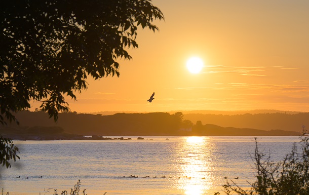 Июль стал третьим самым жарким за всю историю наблюдений