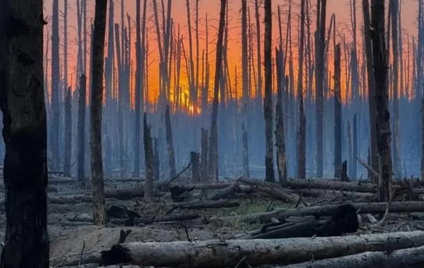 РФ использует дроны для атак в лесах Донбасса - ISW