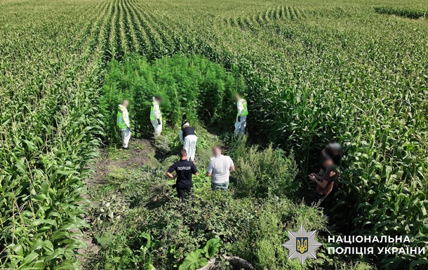 В Украине провели масштабную операцию Джентльмены