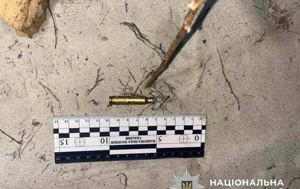 Жителю Киевской области грозит до трех лет за убийство алабая