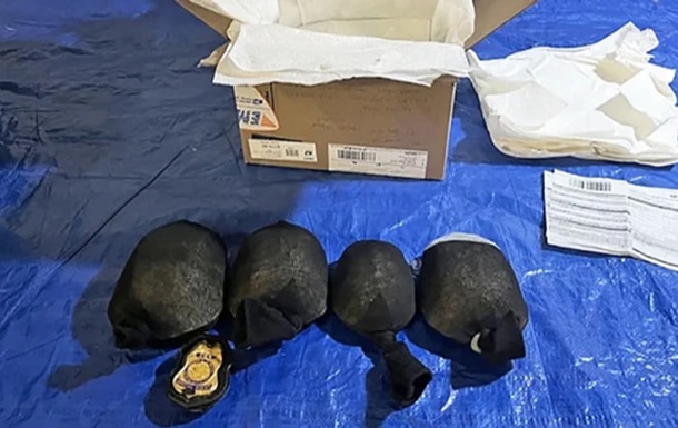 В США задержали мужчину, который хотел вывезти более 850 редких черепах