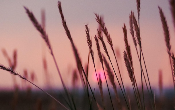 Гороскоп для всех знаков зодиака на 19 августа 2025 года