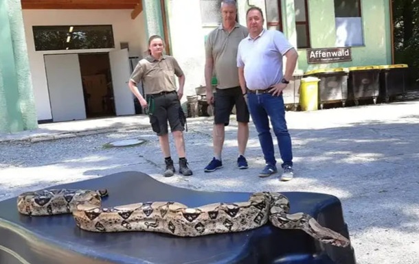 У Німеччині жінка знайшла 2,5-метрового удава