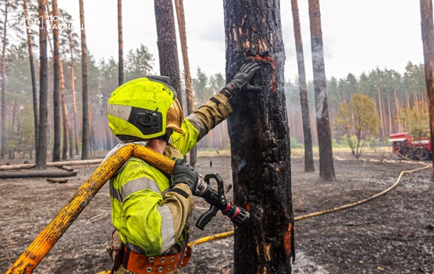На Харьковщине ликвидировали лесной пожар
