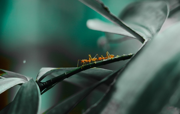 Гороскоп для всіх знаків зодіаку на 26 серпня 2025 року