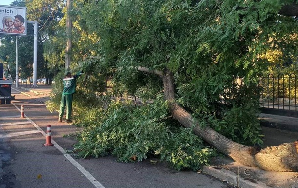 В Одесі буревій повалив понад 70 дерев