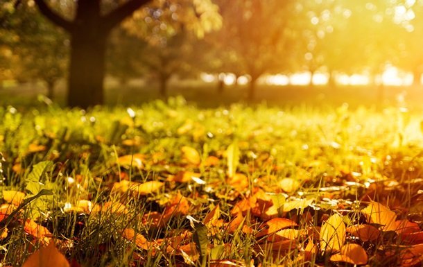 Спека, подекуди грози: синоптики про погоду на початку вересня