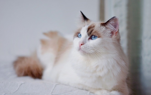 Гороскоп для всіх знаків зодіаку на 2 вересня 2025 року