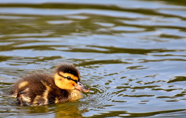 Гороскоп для всех знаков зодиака на 3 сентября 2025 года