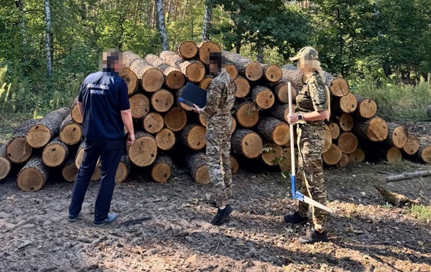 ДБР оголосило підозру екскерівнику лісгоспу Харківщини 