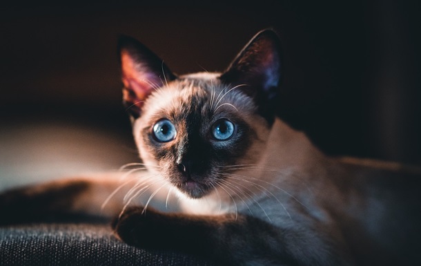 Гороскоп для всіх знаків зодіаку на 10 вересня 2025 року